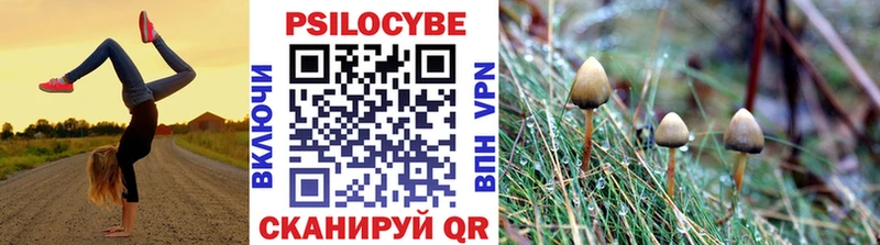 Галлюциногенные грибы Psilocybe  купить   Кимры 